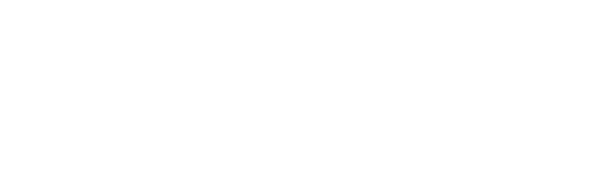 CyRook logotype, white