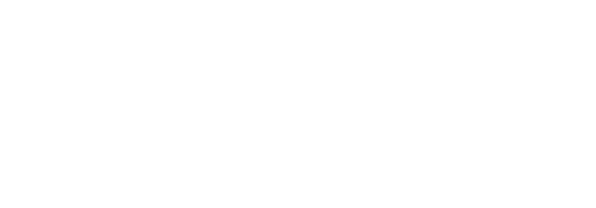 Doodi logotype, white