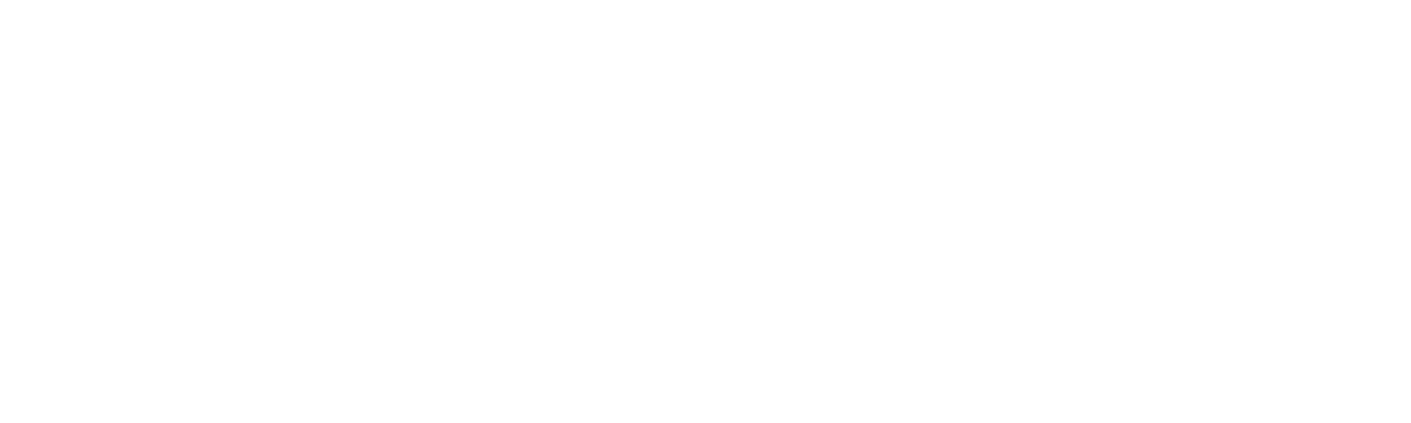 Exo-View logotype, white