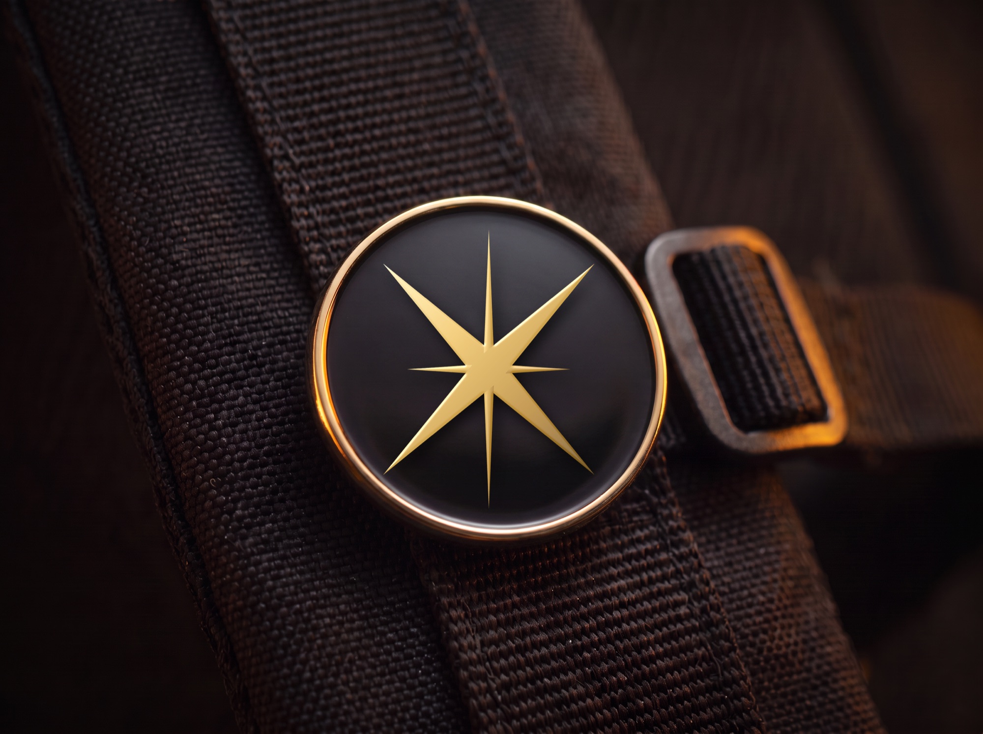 Exo-View enamel pin with the star