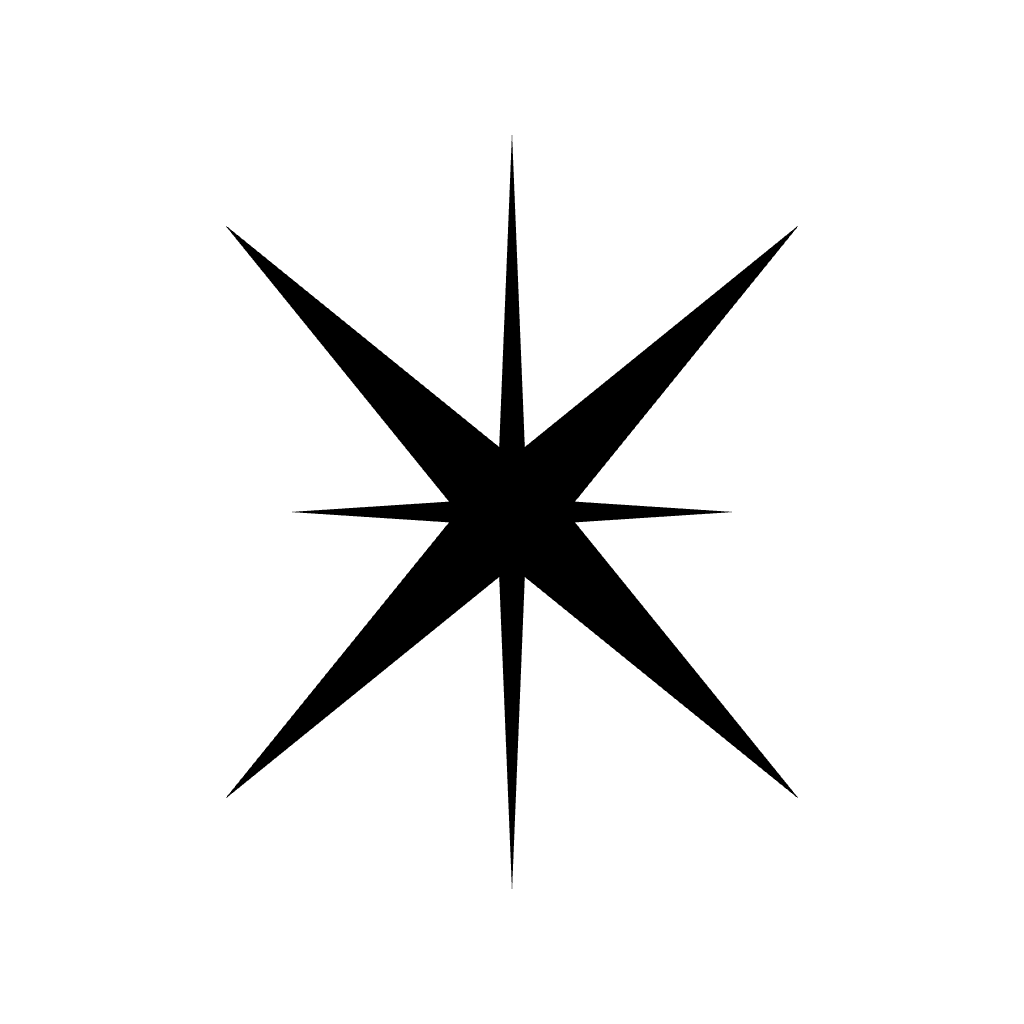 Exo-View symbol - the four-needle star, black