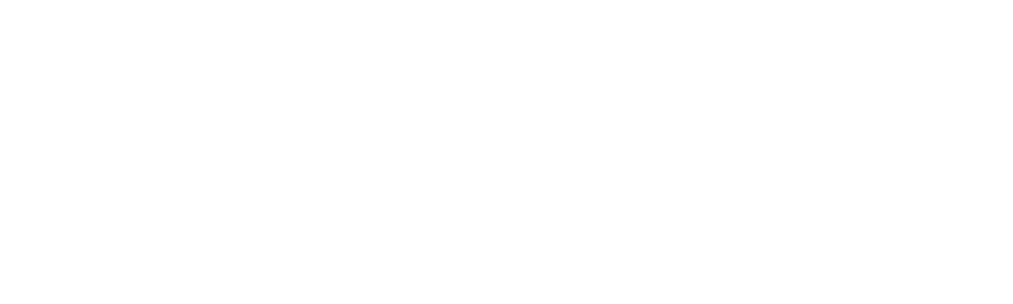 OnZero logotype, white