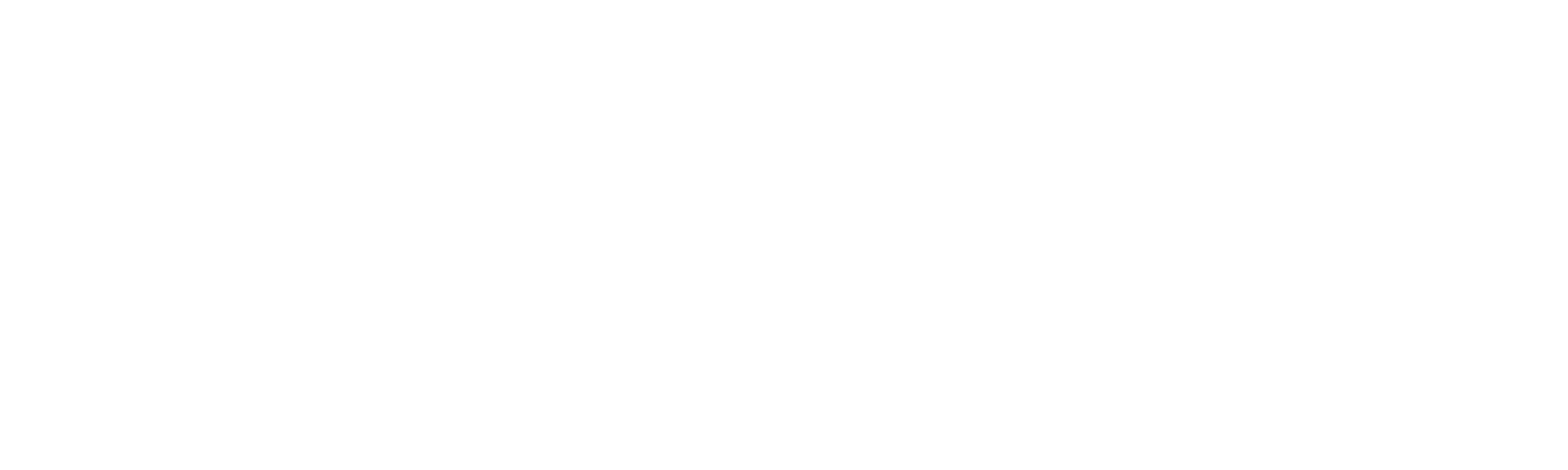 Zoomons logotype, white